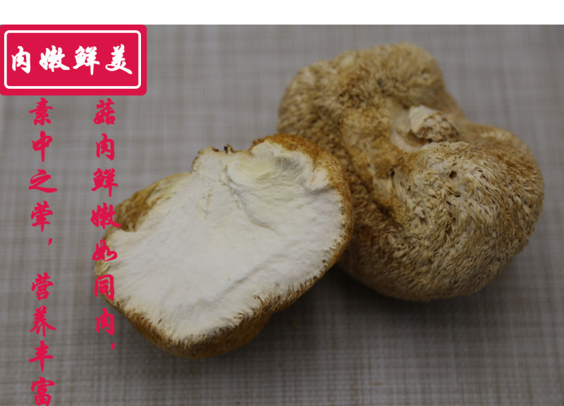 猴头菇特级剪蒂10-13cm
