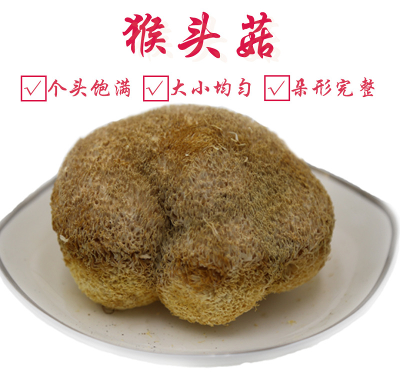 猴头菇一级剪蒂7-10cm
