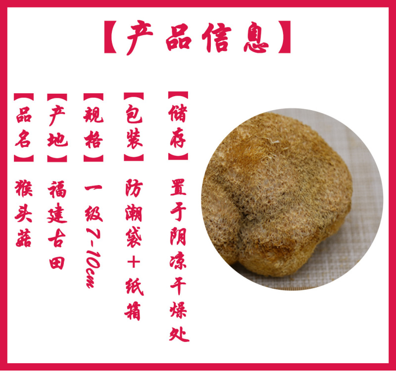 猴头菇一级剪蒂7-10cm