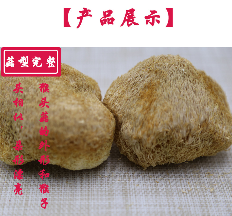 猴头菇一级剪蒂7-10cm