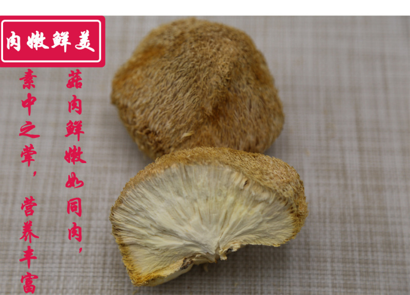 猴头菇一级剪蒂7-10cm