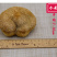 猴头菇一级剪蒂7-10cm