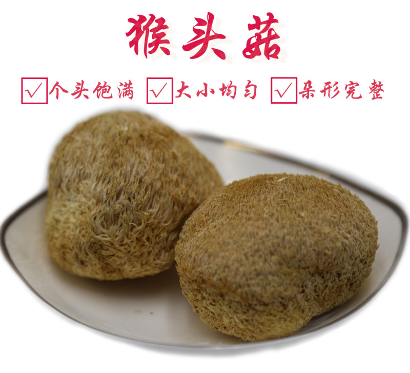 猴头菇二级剪蒂5-7cm