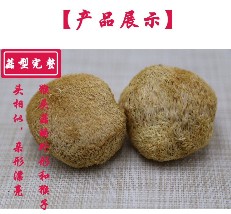 猴头菇二级剪蒂5-7cm
