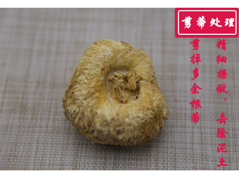 猴头菇二级剪蒂5-7cm