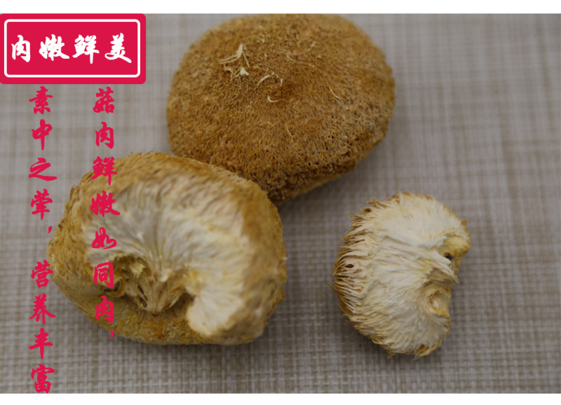 猴头菇二级剪蒂5-7cm