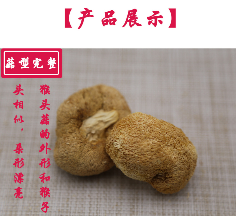 猴头菇三级剪蒂3-5cm