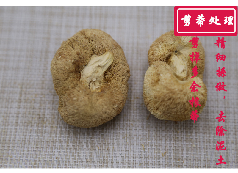 猴头菇三级剪蒂3-5cm