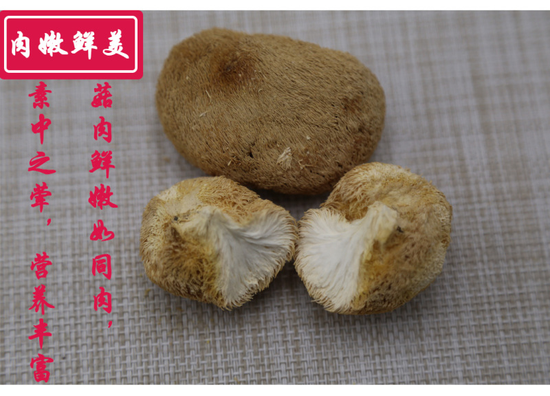 猴头菇三级剪蒂3-5cm