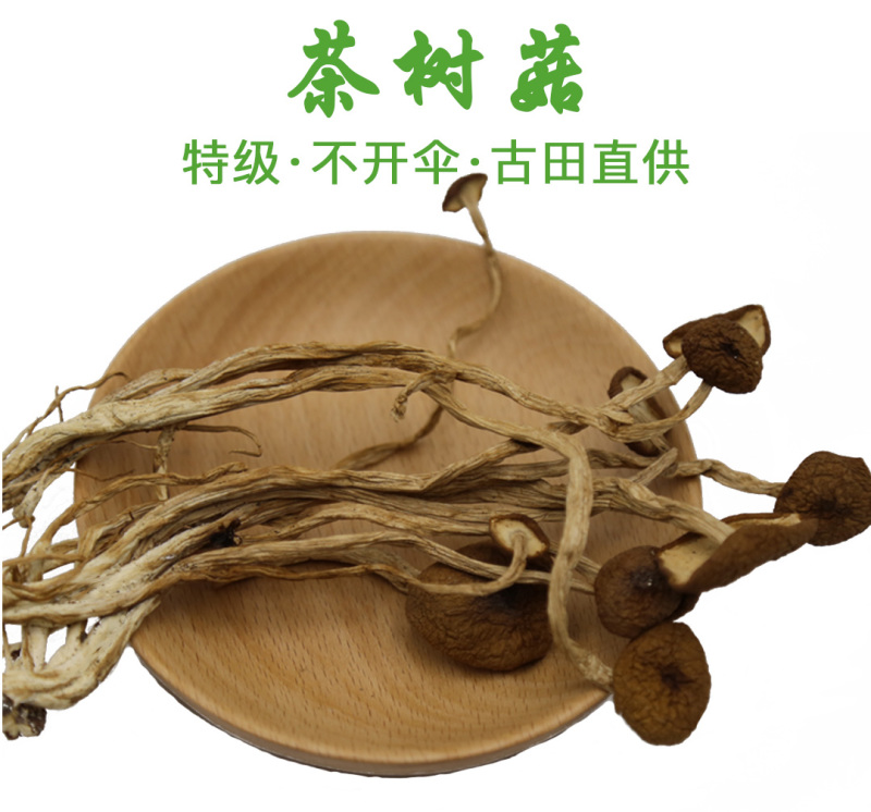 茶树菇不开伞特级10-14cm