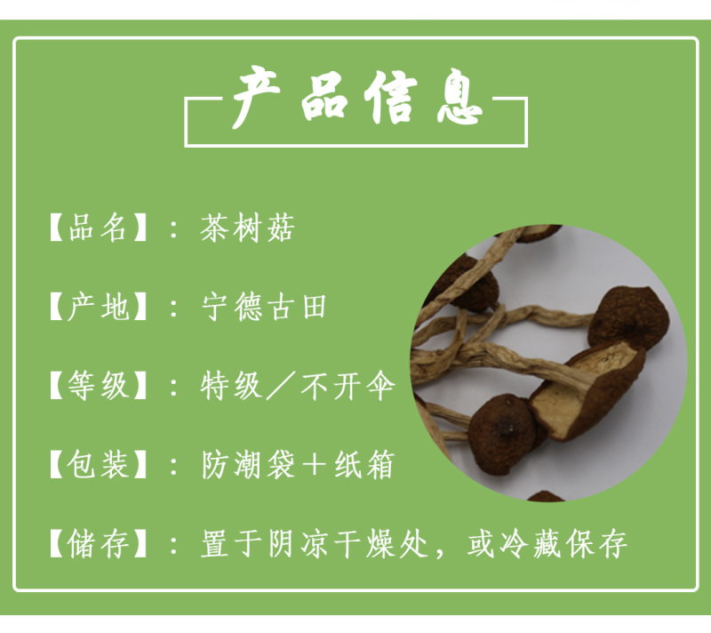 茶树菇不开伞特级10-14cm
