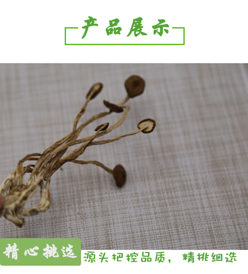 茶树菇不开伞特级10-14cm