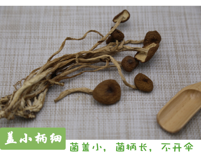 茶树菇不开伞特级10-14cm