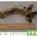 茶树菇不开伞特级10-14cm