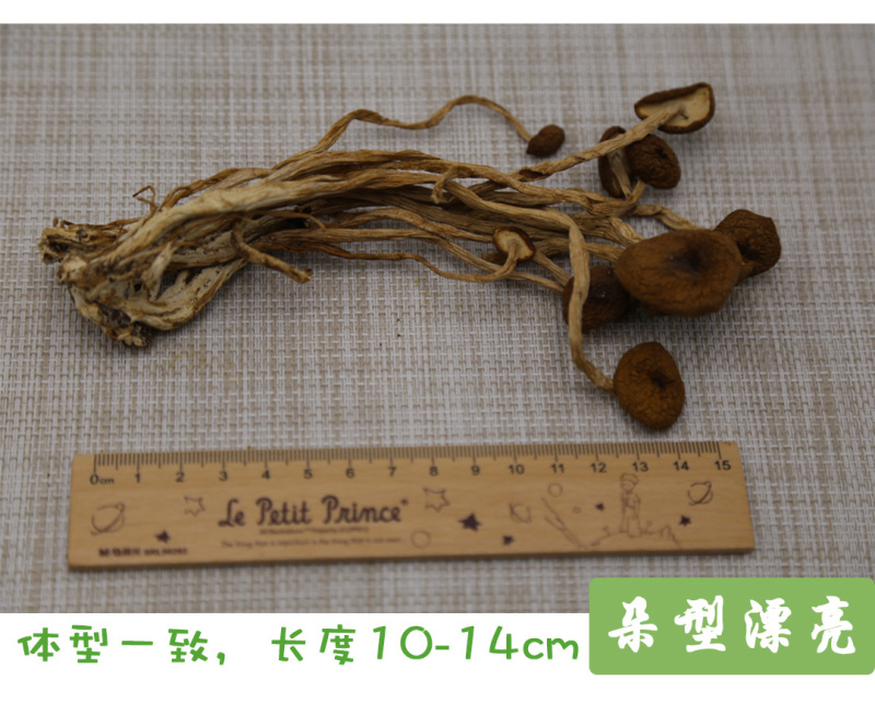 茶树菇不开伞特级10-14cm