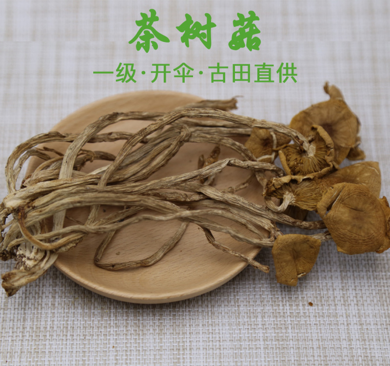 茶树菇一级开伞14-18cm
