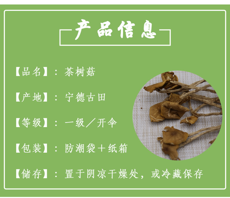 茶树菇一级开伞14-18cm