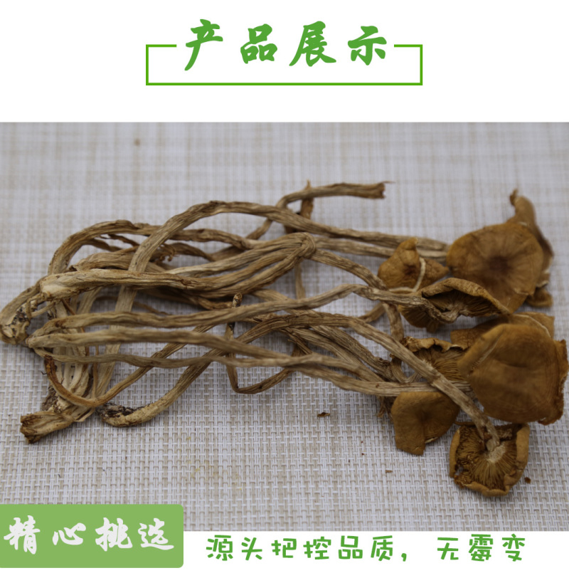 茶树菇一级开伞14-18cm