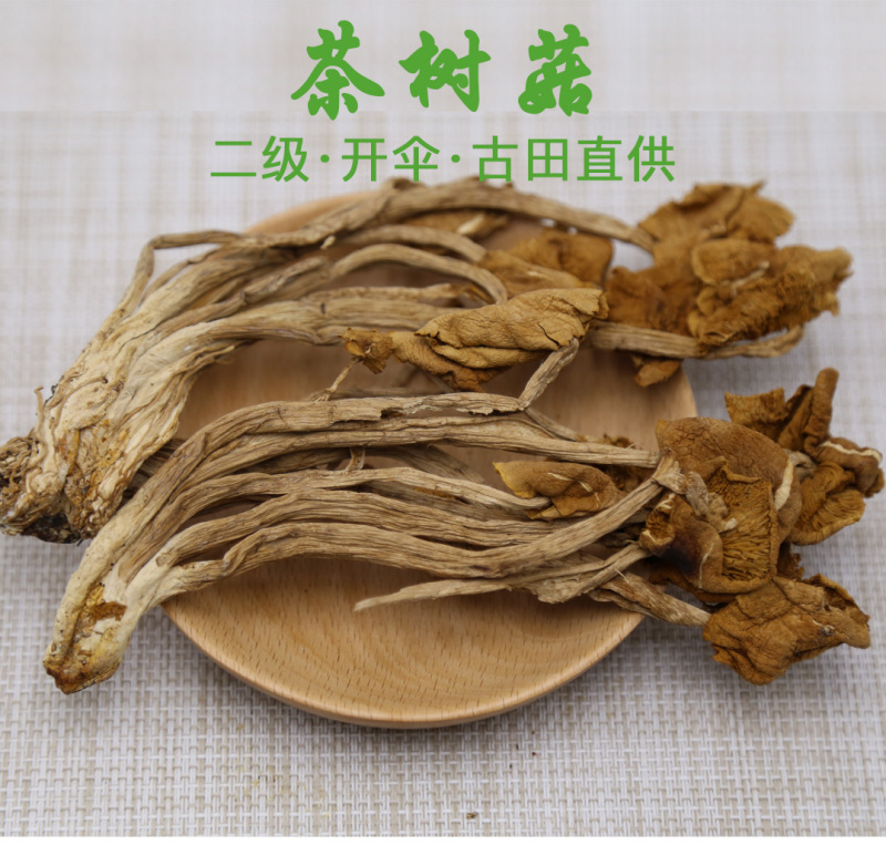 茶树菇二级开伞大量供应