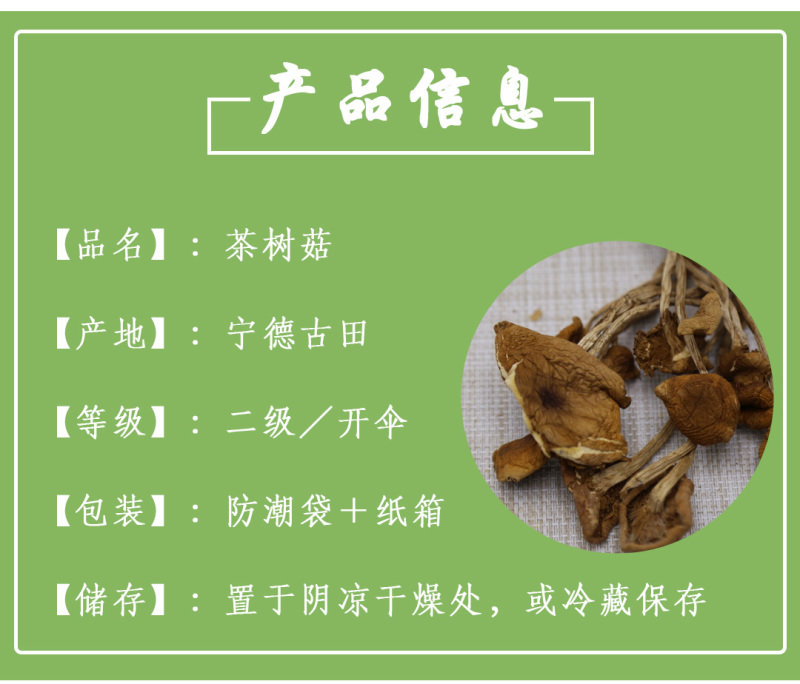 茶树菇二级开伞大量供应