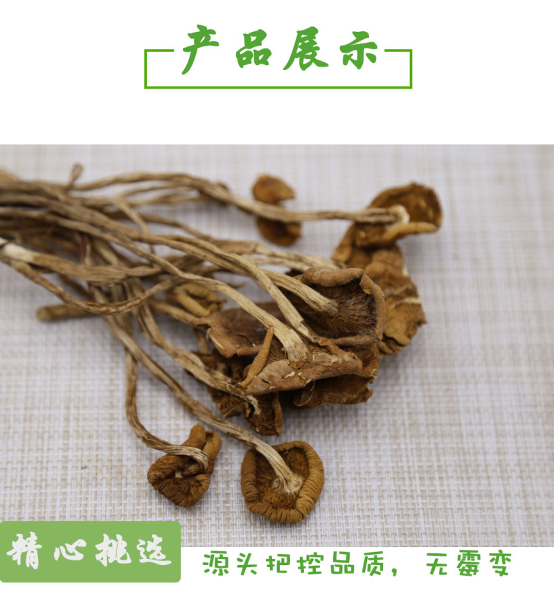 茶树菇二级开伞大量供应