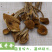 茶树菇二级开伞大量供应