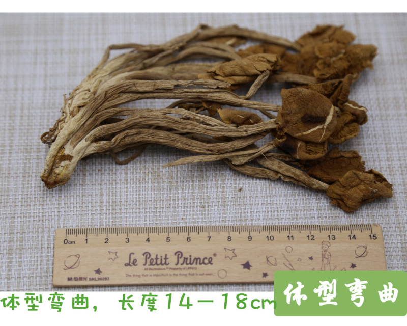 茶树菇二级开伞大量供应