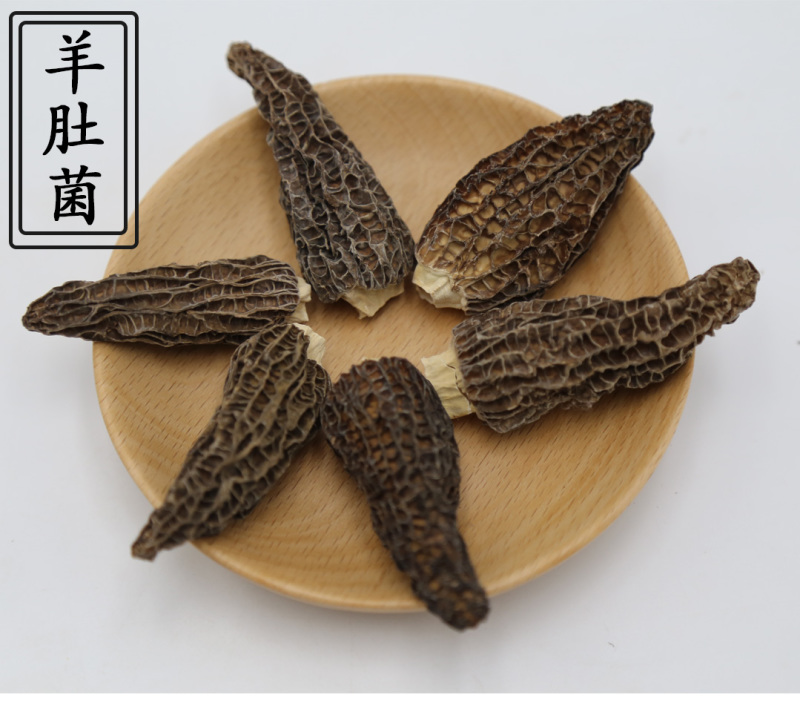 羊肚菌剪柄5-7cm肉质肥厚