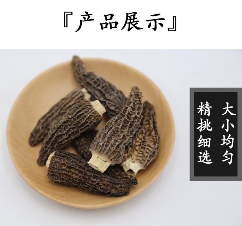 羊肚菌剪柄5-7cm肉质肥厚