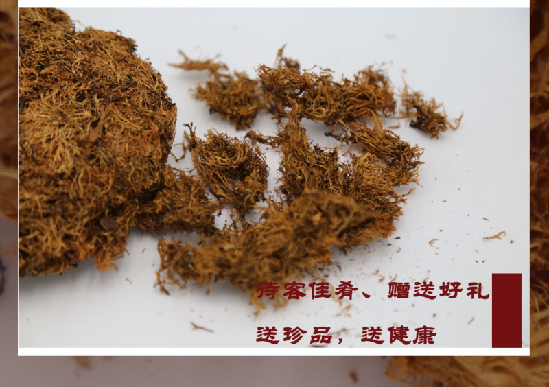 野生树花菜楚雄大山山珍特产5斤以上包邮