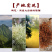 野生树花菜楚雄大山山珍特产5斤以上包邮
