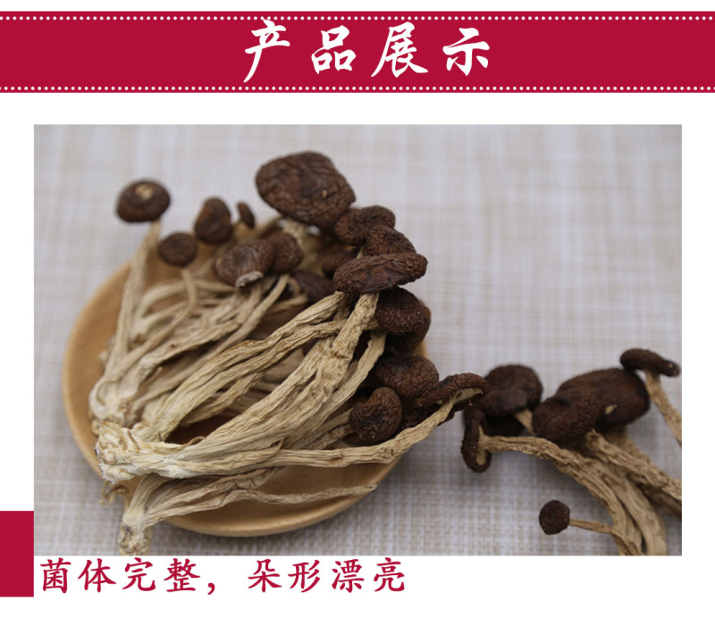 茶树菇5号广昌直供量大包邮自产自销