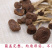 茶树菇5号广昌直供量大包邮自产自销