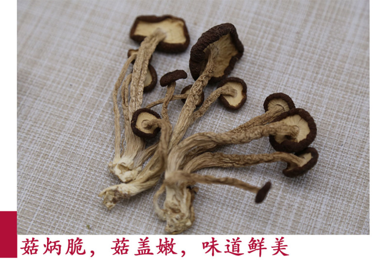茶树菇5号广昌直供量大包邮自产自销