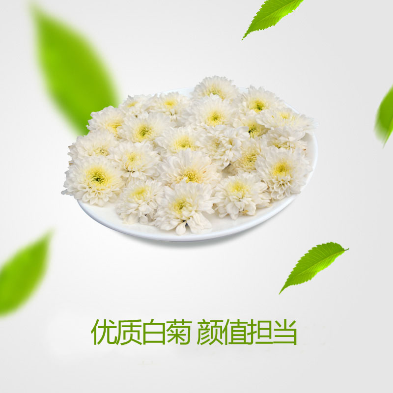 白菊花茶品质上乘不打药【包邮】