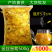 金丝皇菊茶去火佳品【包邮】