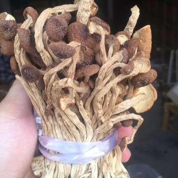 广昌特级茶树菇干货不开伞剪脚扎把产地直销食用菌批发