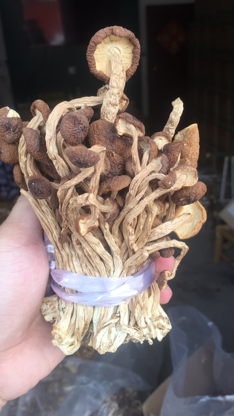 广昌特级茶树菇干货不开伞剪脚扎把产地直销食用菌批发
