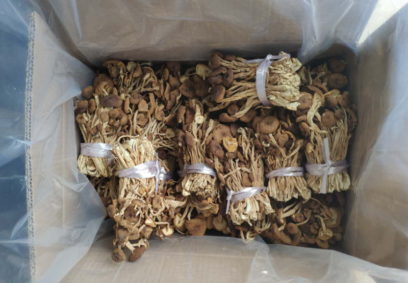 广昌特级茶树菇干货不开伞剪脚扎把产地直销食用菌批发