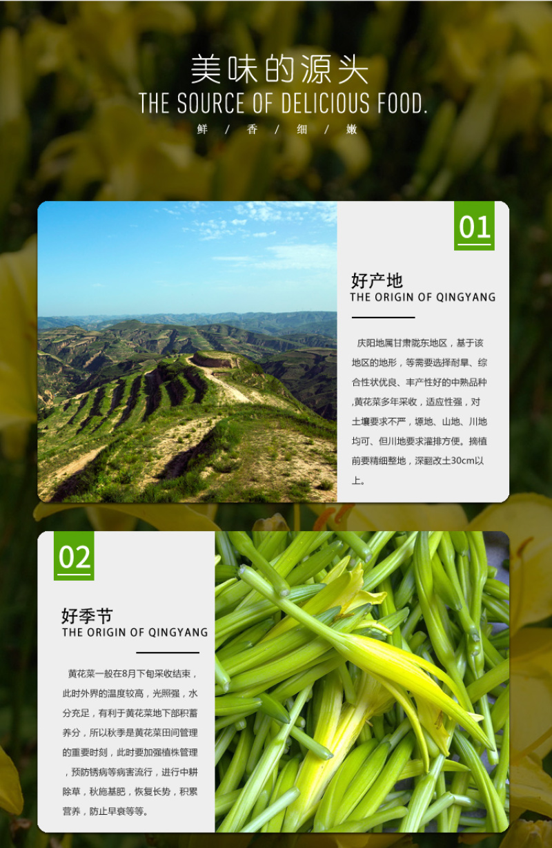 2022年新黄花菜礼盒一级金针菜干货特产下饭火锅凉拌菜