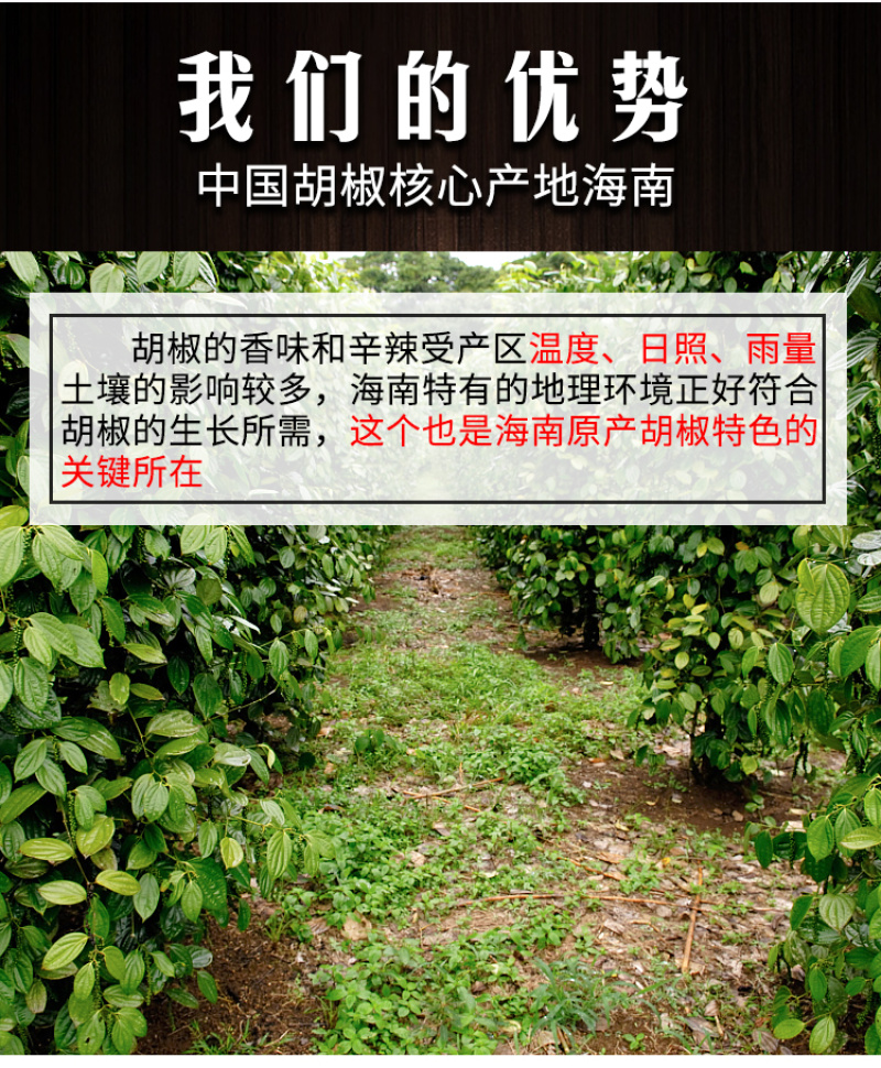 黑胡椒粒500g海南兴隆农家精选一级胡椒粉调料花椒特产