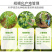 黑胡椒粒500g海南兴隆农家精选一级胡椒粉调料花椒特产