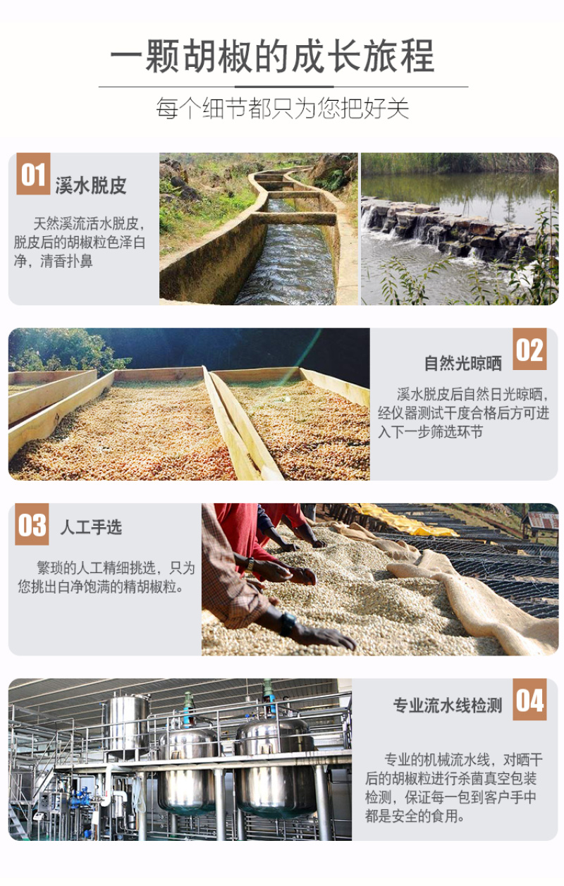 白胡椒粒500g海南兴隆手选胡椒粉调料特产农家花椒