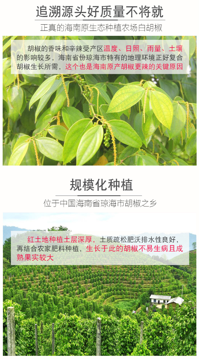 白胡椒粒500g海南兴隆手选胡椒粉调料特产农家花椒