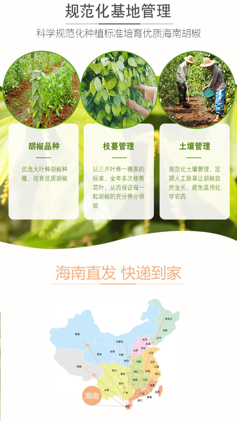 白胡椒粒500g海南兴隆手选胡椒粉调料特产农家花椒