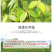 黑胡椒粒500g海南西餐调味料调料纯黑胡椒粉牛排特产新货