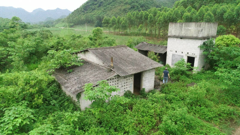 贵港覃塘区樟木镇240亩旱地出租