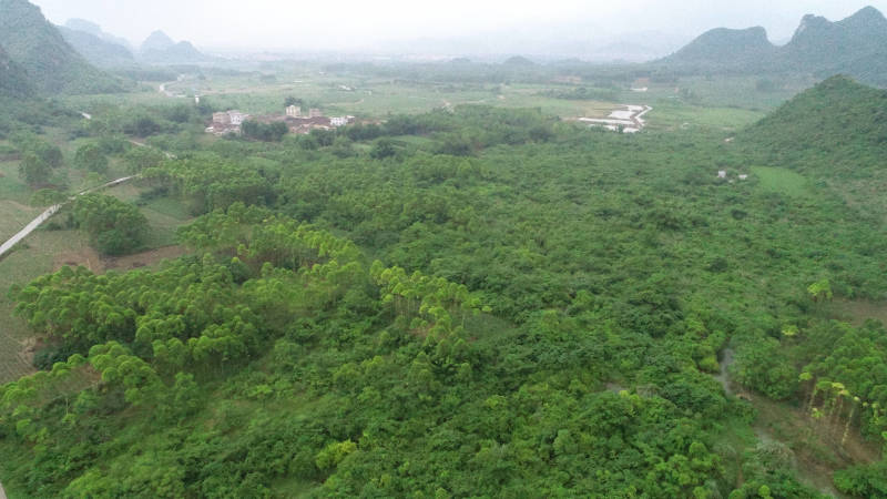 贵港覃塘区樟木镇240亩旱地出租