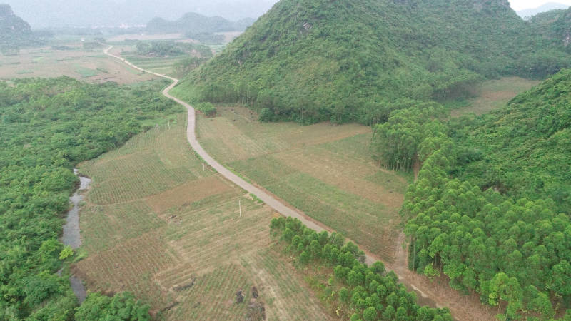 贵港覃塘区樟木镇240亩旱地出租
