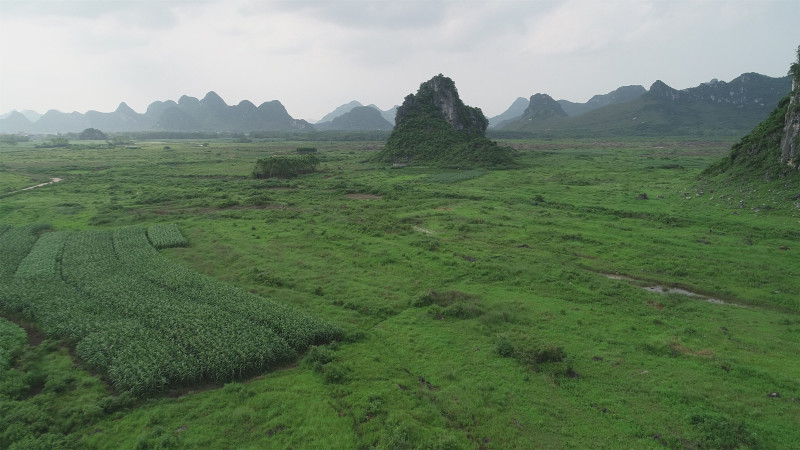 贵港覃塘区2000亩适合种植坚果的旱地出租